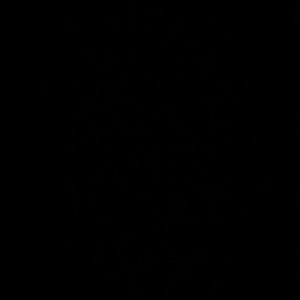 Meet your Posher, Morganne